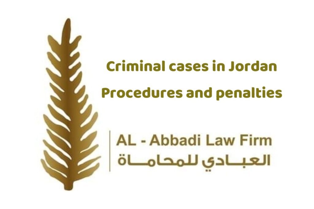criminal cases lawyer