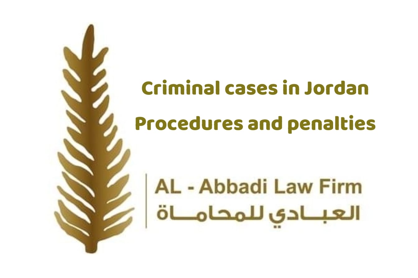 criminal cases lawyer